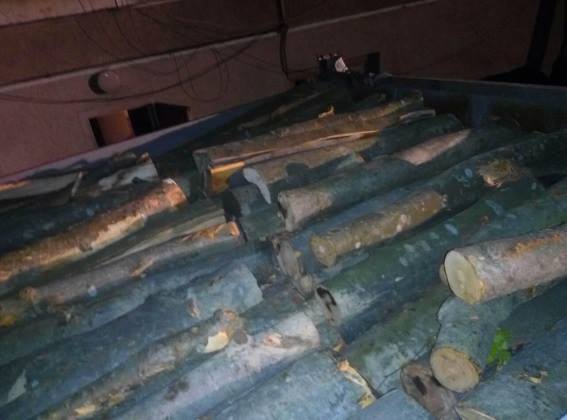 На Перечинщині зупинили ЗІЛ, що перевозив бук за "сумнівними" документами (ФОТО)