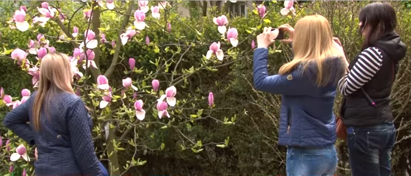 Ботанічний сад в Ужгороді у вихідні закритий для туристів (ВІДЕО)