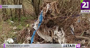 На Закарпатті 17 посадовців оштрафували на понад 6,5 тис грн за сміття (ВІДЕО)
