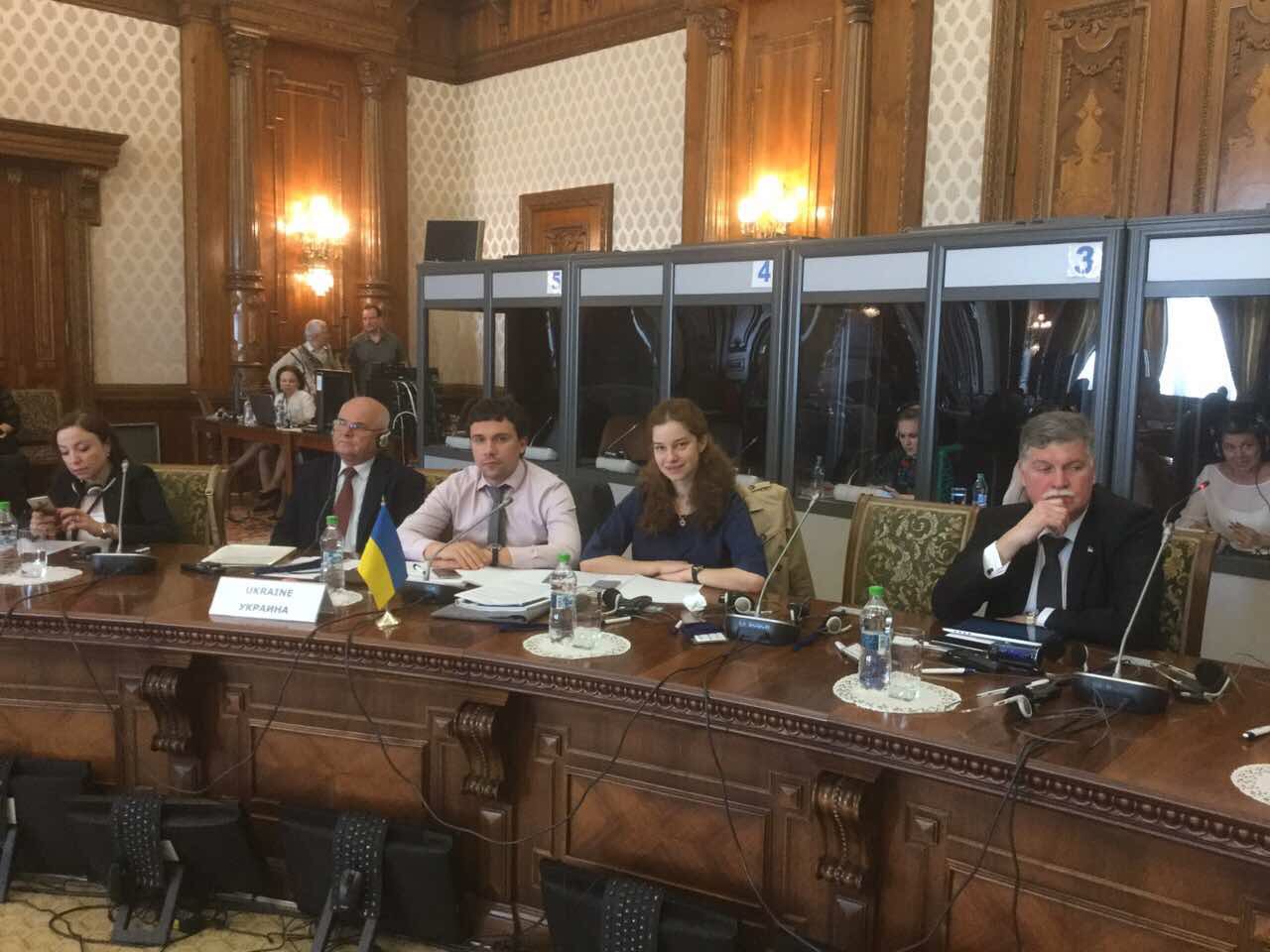 Румунія профінансує техніко-економічне обґрунтування будівництва моста через Тису, що з'єднає Сигет й закарпатське Солотвино