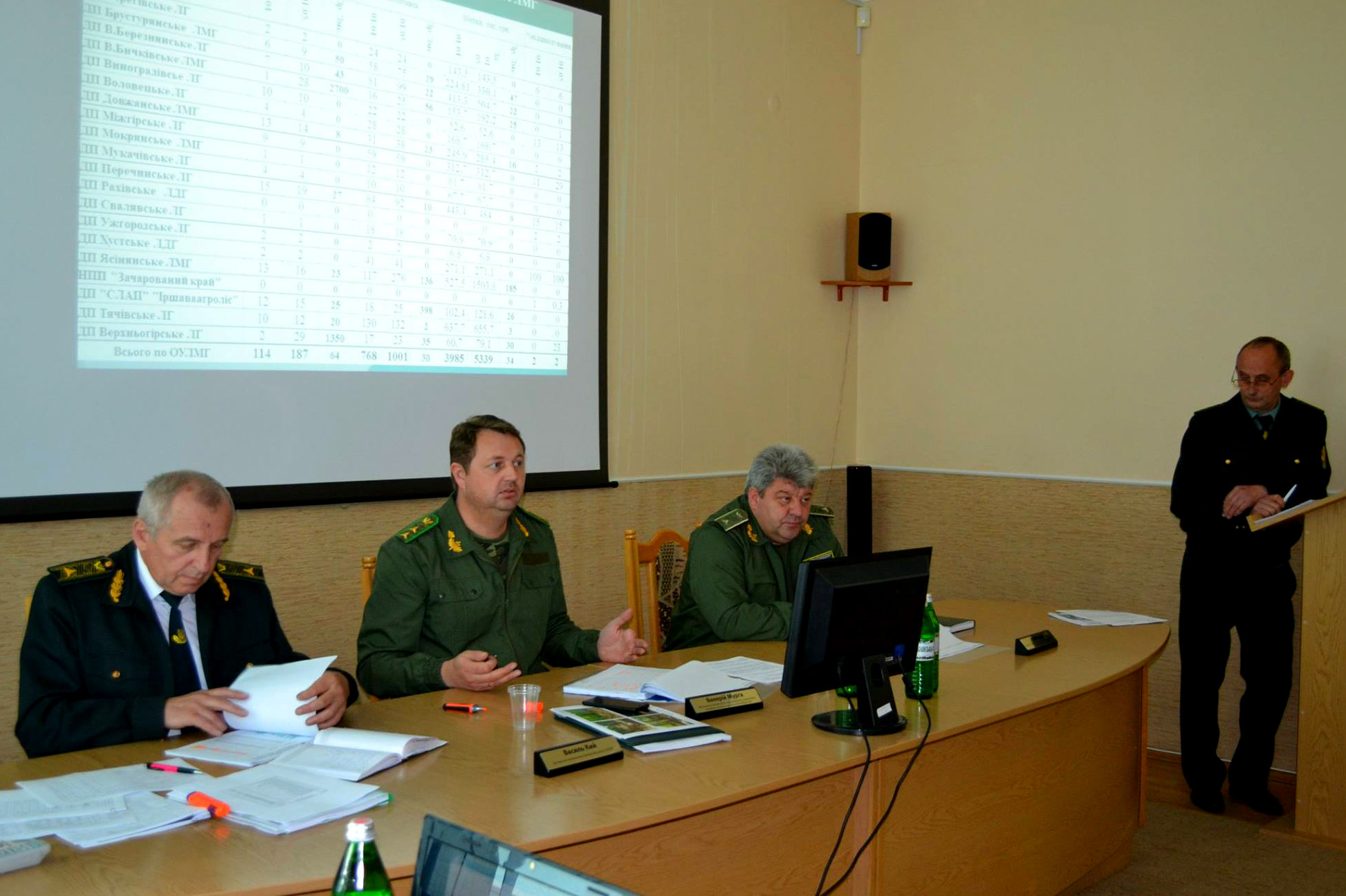 Людський фактор та випалювання сухої трави залишаються основними причинами лісових пожеж на Закарпатті 