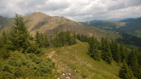 На Рахівщині заблукали львівські туристи, що йшли на Говерлу
