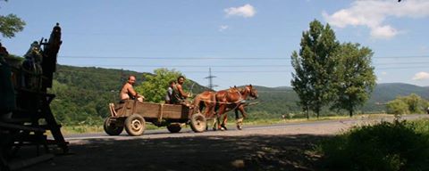 Вирішувати конфлікт, спровокований циганами у Домбоках на Мукачівщині, виїжджала спеціальна комісія