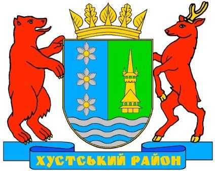 У четвер голова Хустської райради розкаже про протистояння та чиновницький саботаж через будівництво міні-ГЕС 