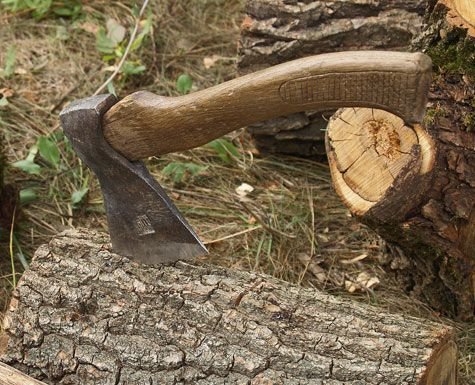 На Рахівщині затримали мешканця Лугів, звинувачуваного у незаконній вирубці лісу