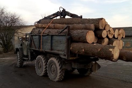 На Міжгірщині водій лісвоза з'їхав у прірву: загинуло двоє людей, ще один потерпілий – в лікарні (ФОТО)