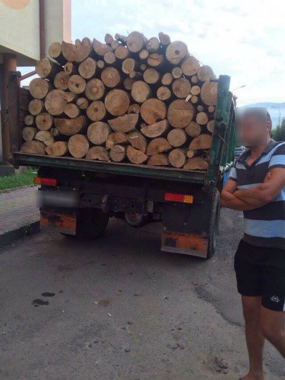 У Сваляві зупинили вантажівку з буком без відповідних документів