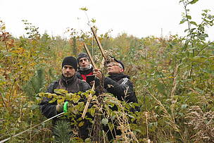 Всесвітній фонд природи шукає координаторів лісового волонтерства на Закарпатті