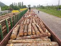 Лісгосп заплатить півмільйона за простій двох вагонів, які 5 місяців перевіряли закарпатські митники