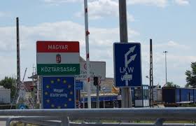 Через АЧС на Закарпатті угорська митна служба прискіпливо перевіряє продукти тваринного походження