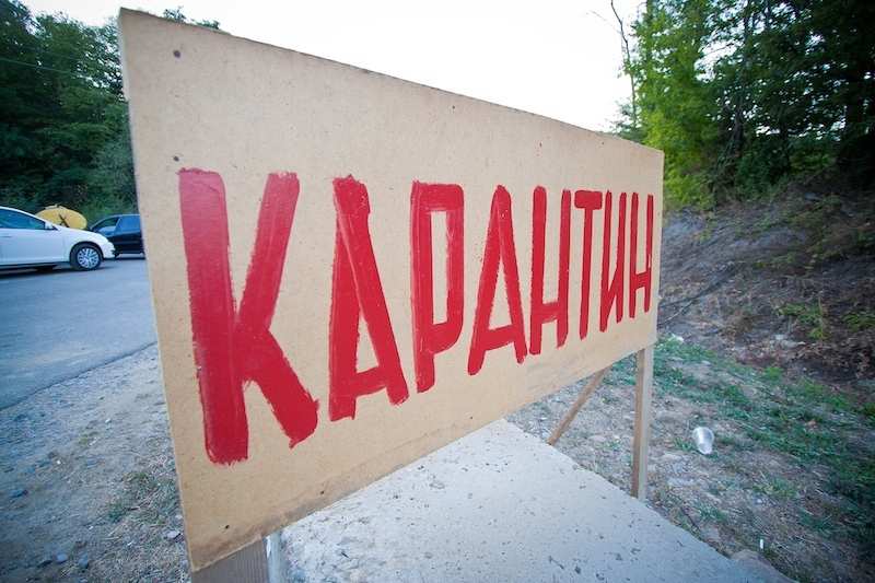 У Квасах на Рахівщині через сказ собаки встановлено 2-місячний карантин