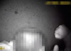 Патрульна поліція опублікувала відео затримання неадекватного молодика (ВІДЕО)