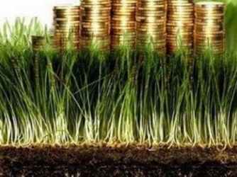 Торік платники земельного податку на Закарпатті сплатили понад 281,8 млн грн