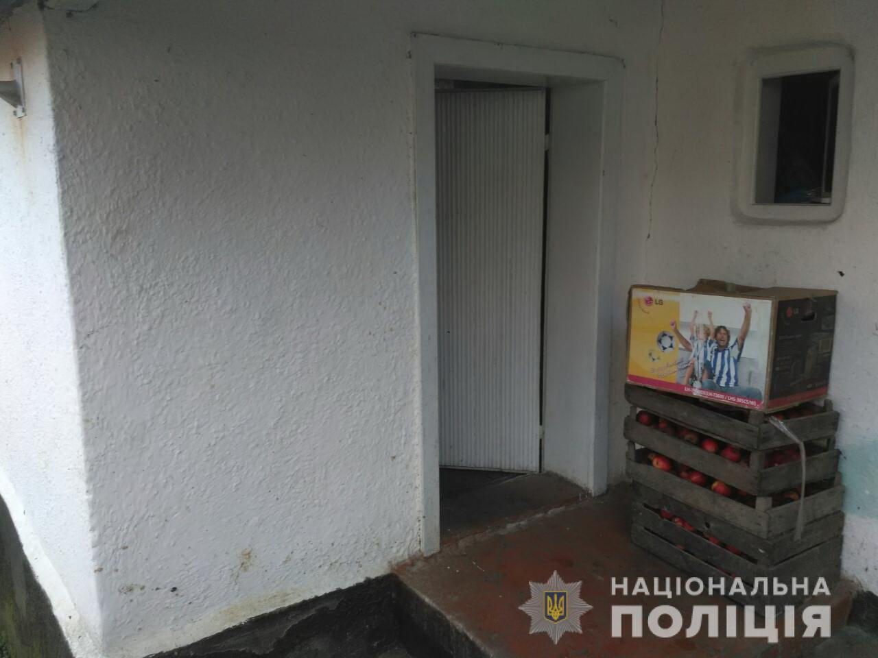 На Іршавщині жінка під час сварки кількаразово й до смерті вдарила співмешканця поліном (ФОТО)