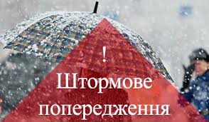 На Закарпатті у суботу очікується сильний та мокрий сніг 