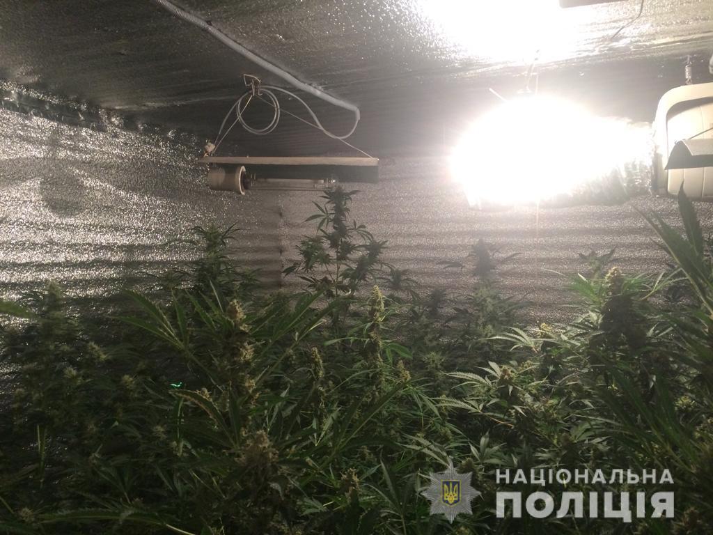Мешканець Одещини налагодив у своїму будинку на Рахівщині систему вирощування та збуту наркотиків (ФОТО, ВІДЕО)