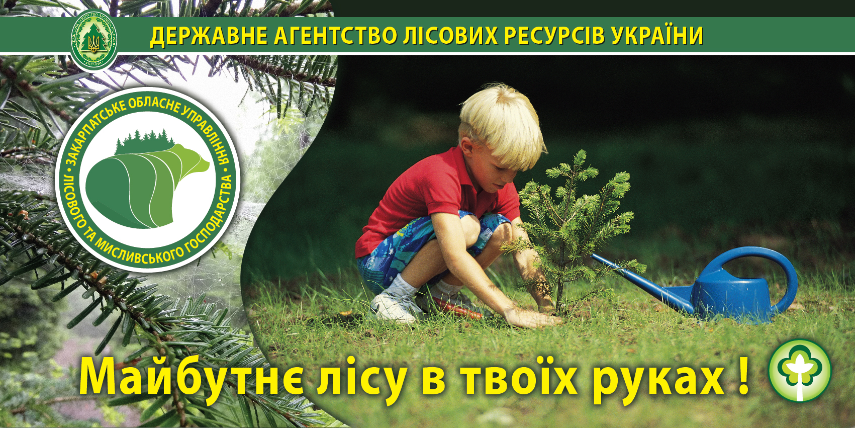 На Закарпатті планують "акційно" заліснити понад 2,5 тисячі гектарів земель лісового фонду 