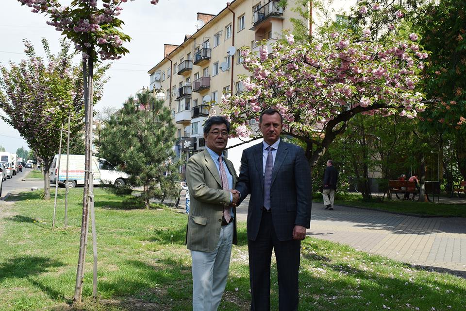 Міністр-радник Посольства Японії в Україні оглянув, як прижилися і квітнуть в Ужгороді подаровані урядом Японії сакури (ФОТО)