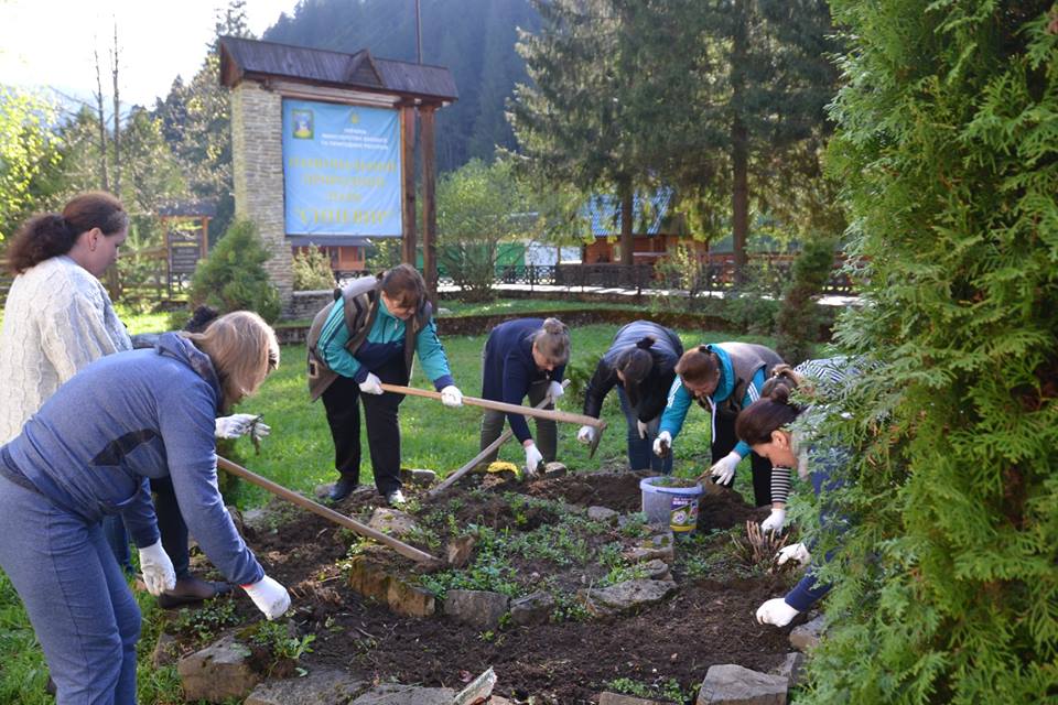 Дорогу до закарпатського озера Синевир озеленили алеєю молодих дерев (ФОТО)