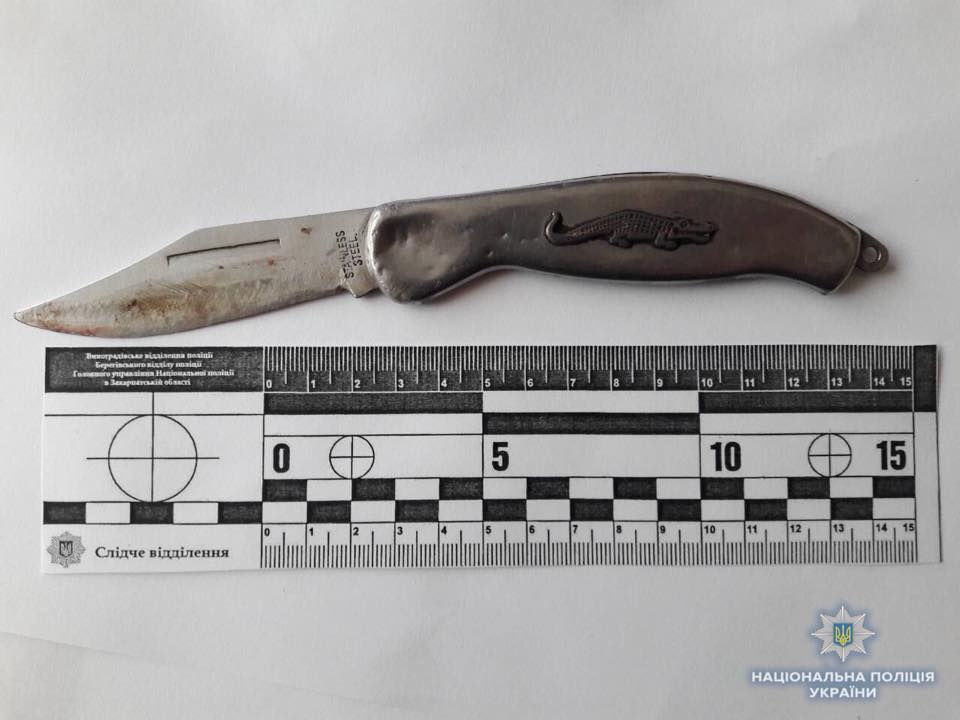 На Виноградівщині чоловік, захищаючи доньку, вдарив зятя ножем у живіт