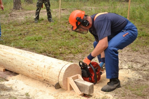 Команда вальників із Закарпаття змагається за звання кращих лісорубів України
