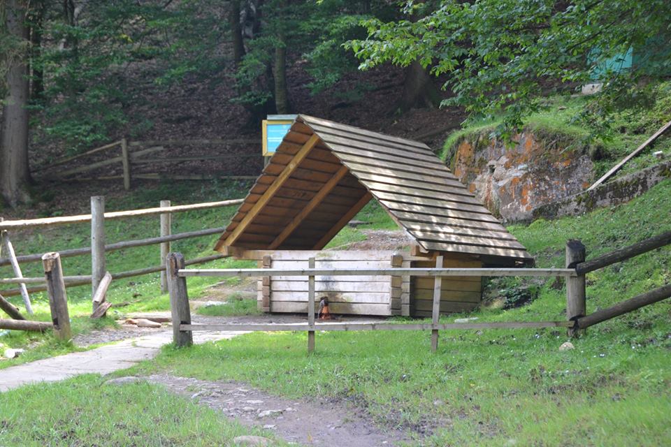 У Колочаві на Міжгірщині впорядковують мінеральне джерело