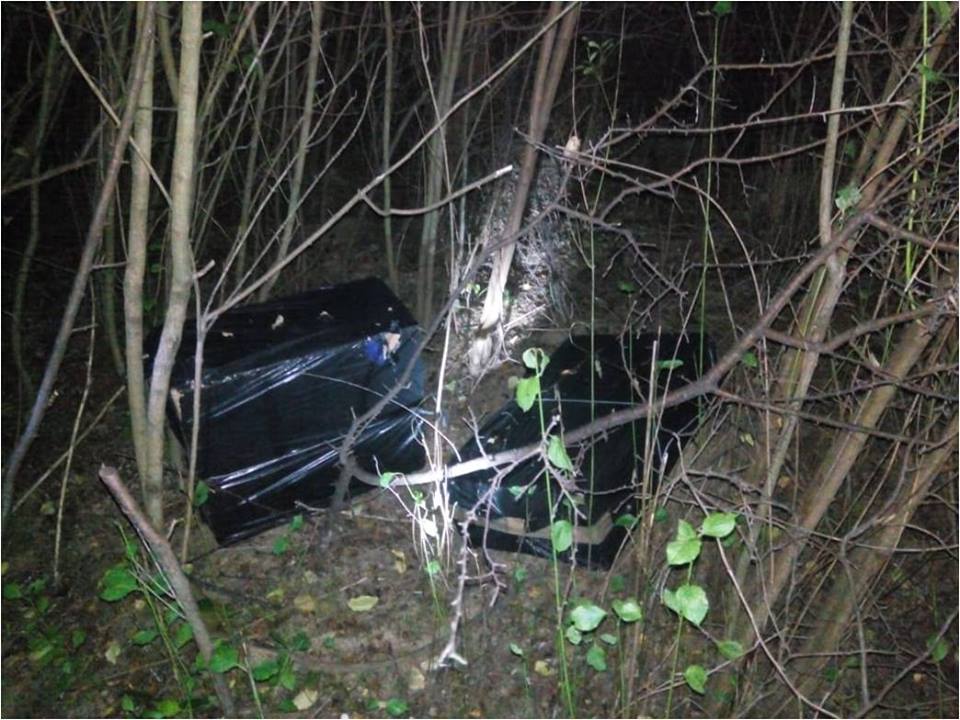 На Закарпатті в кущах знайшли майже 9 тис пачок сигарет, підготовлених для контрабанди до Угорщини (ФОТО)