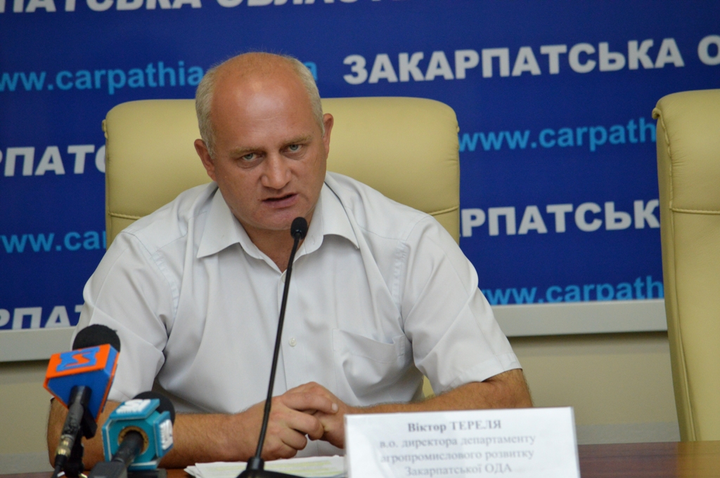 Найвищу врожайність зернових на Закарпатті демонструють Виноградівщина, Мукачівщина та Ужгородщина