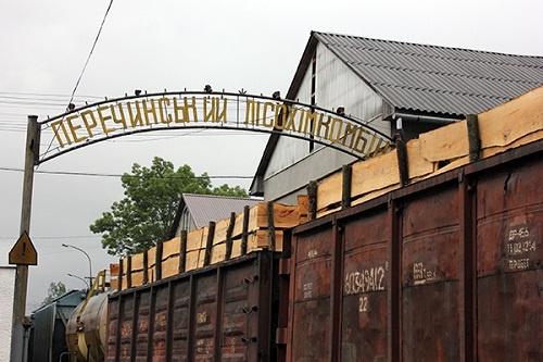 На Закарпатті "комісійно" з'ясували причини загибелі електромонтера Перечинського лісохімкомбінату