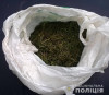 У жителя Берегова вилучили марихуану та синтетичні наркотики (ФОТО)