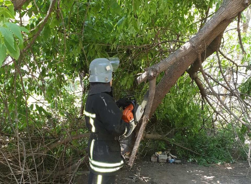 У закарпатському Чопі гілка, впавши на гараж, пошкодила дах спору й автівку, що була в гаражі