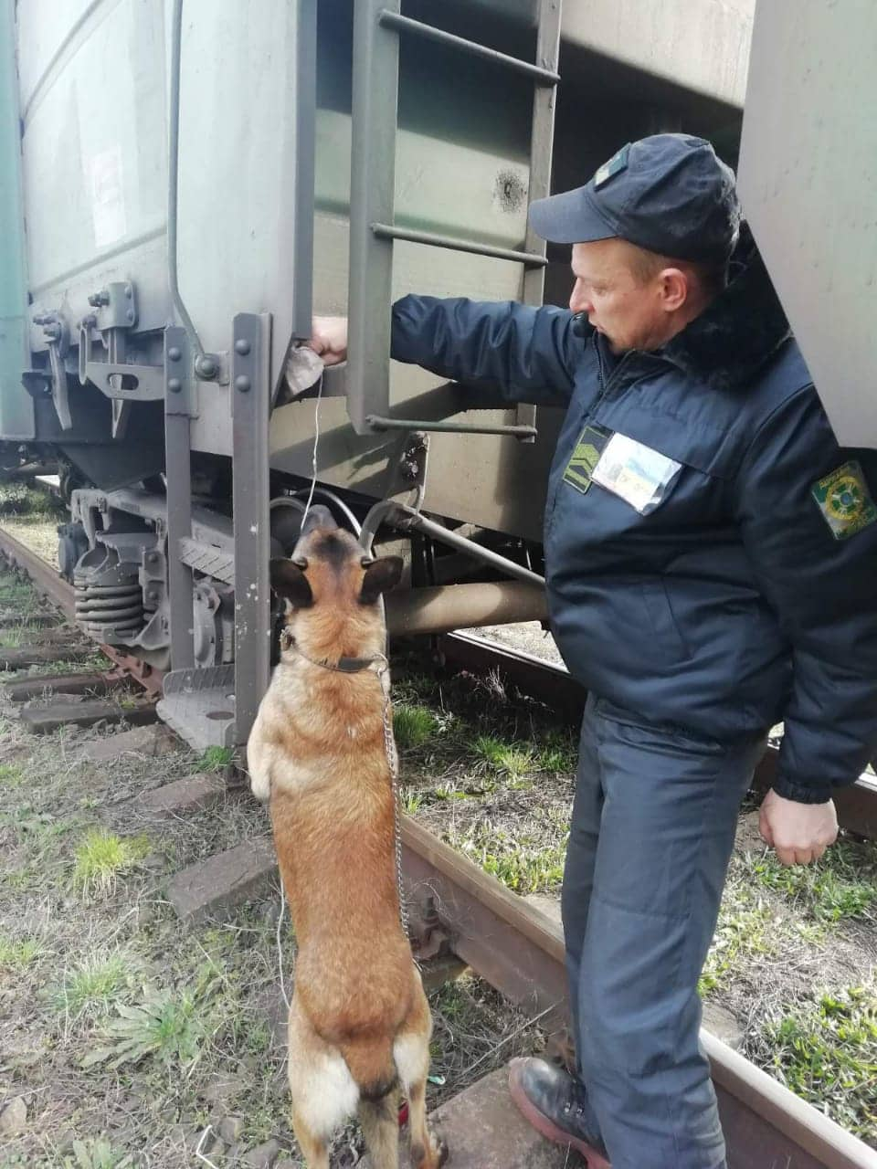 Третю за добу партію контрабандних сигарет виявили на Закарпатті (ФОТО)