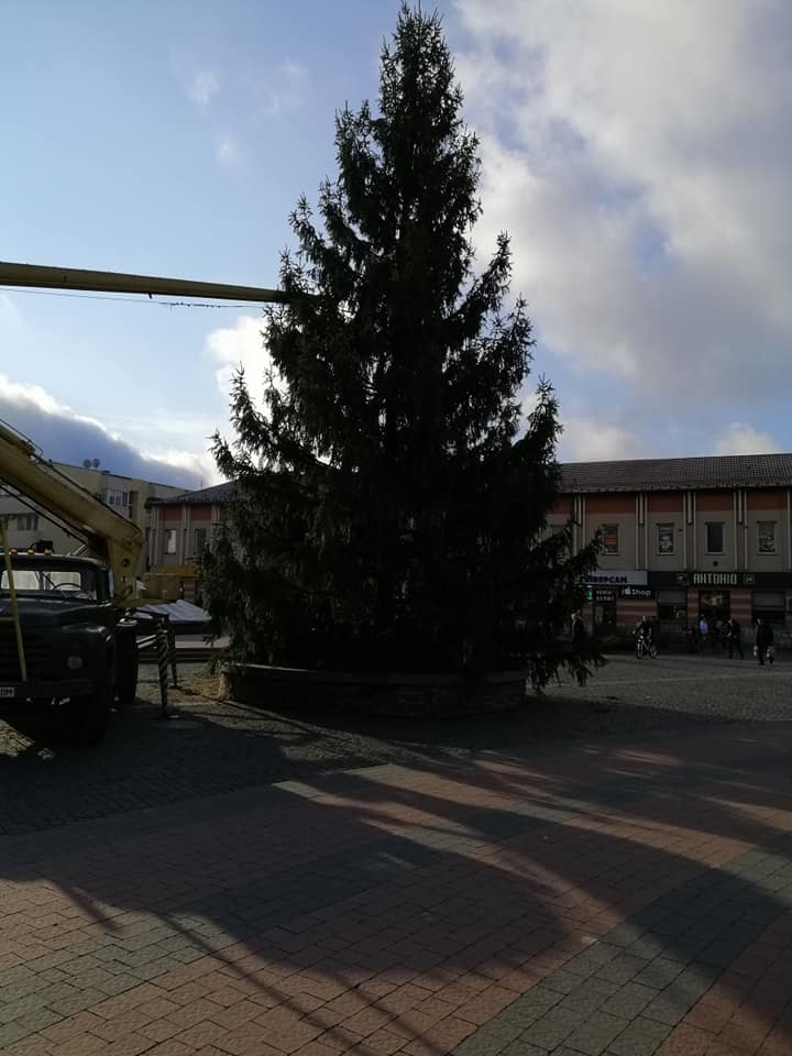 ФОТОФАКТ. У Хусті встановили центральну міську новорічну ялинку