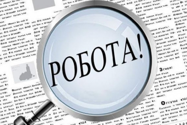 На Закарпатті зросла кількість вакансій, заявлених роботодавцями до обласної служби зайнятості