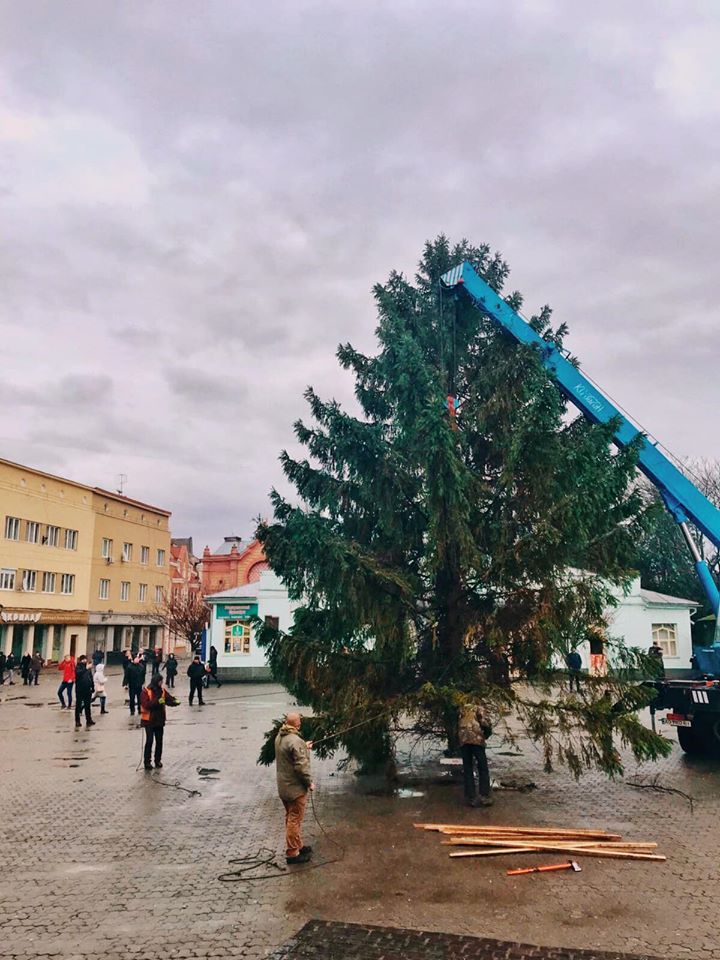 ФОТОФАКТ. В Ужгороді встановлюють головну міську ялинку