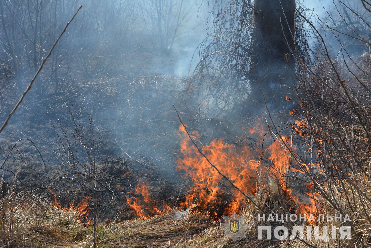 У поліції Закарпаття попереджають про адмінвідповідальність за спалювання сміття та підпал трави