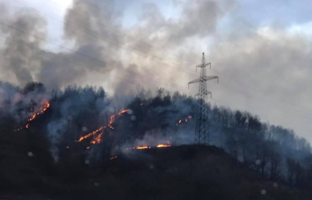 В горах на закарпатській Свалявщині горить ліс (ФОТО, ВІДЕО)