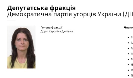 Очільницю фракції КМКС Берегова за незаконний перетин кордону суд оштрафував на 3,4 тис грн