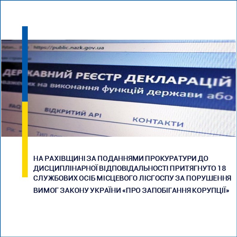 На Рахівщині 18 службовців лісгоспу "дисциплінарно" покарано за несвоєчасні чи недостовірні Е-декларації