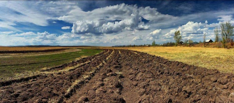 На Закарпатті воякам надано понад 5,5 тисяч дозволів на розроблення проектів землеустрою для відведення земельних ділянок 