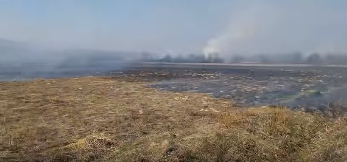 На Хустщині двічі гасили пожежу поблизу Долини нарцисів (ВІДЕО)
