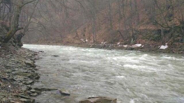 Унаслідок дощів на Закарпатті підтоплені підвали в Хусті та сільгоспугіддя на Іршавщині й Виноградівщині