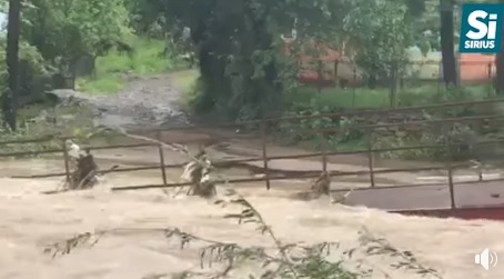 На Перечинщині вночі, коли швидко прибувала вода, люди з будинків поблизу річки виводили худобу до сусідів (ВІДЕО)