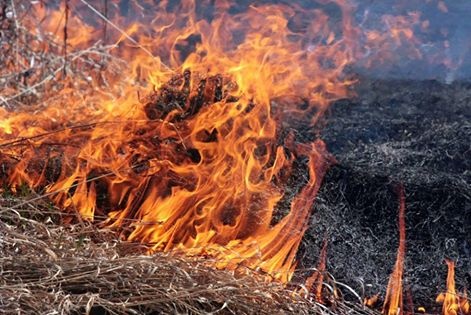 На Іршавщині чоловік, спалюючи сміття, отримав опіки ІІ ступеня