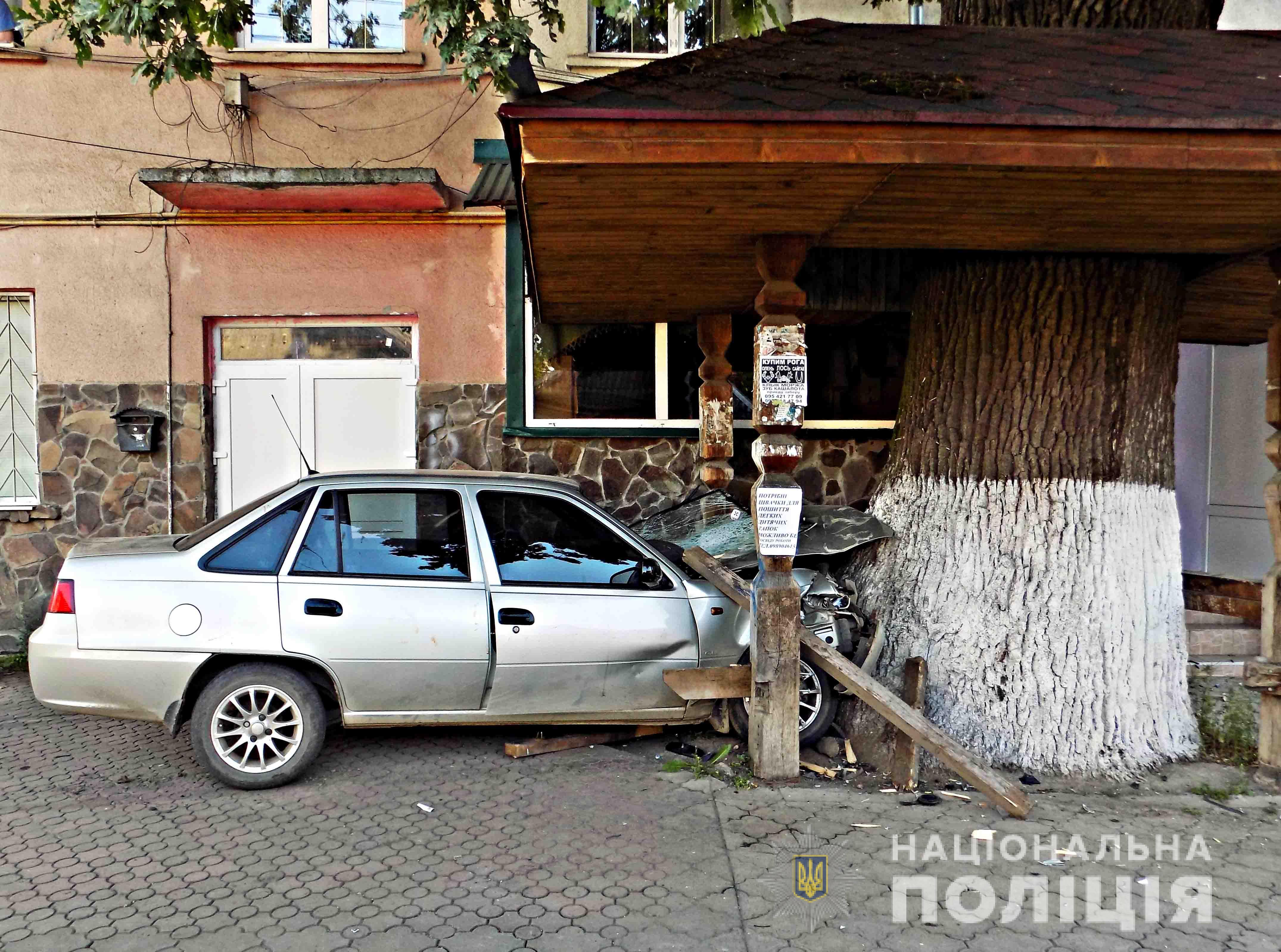 У Міжгір'ї нетверезий водій, врізавшись у дерево, разом із двома неповнолітніми пасажирами опинився в лікарні