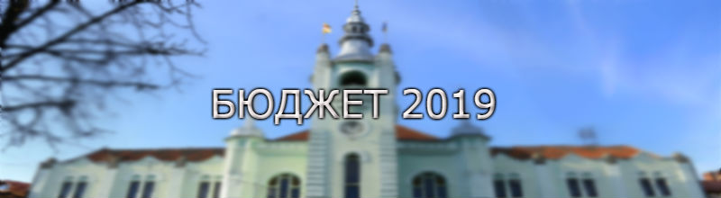 До бюджету Мукачева за перше півріччя надійшло понад 311 млн грн