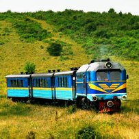 День Боржавської вузькоколійки відбувся на Закарпатті (ФОТО)