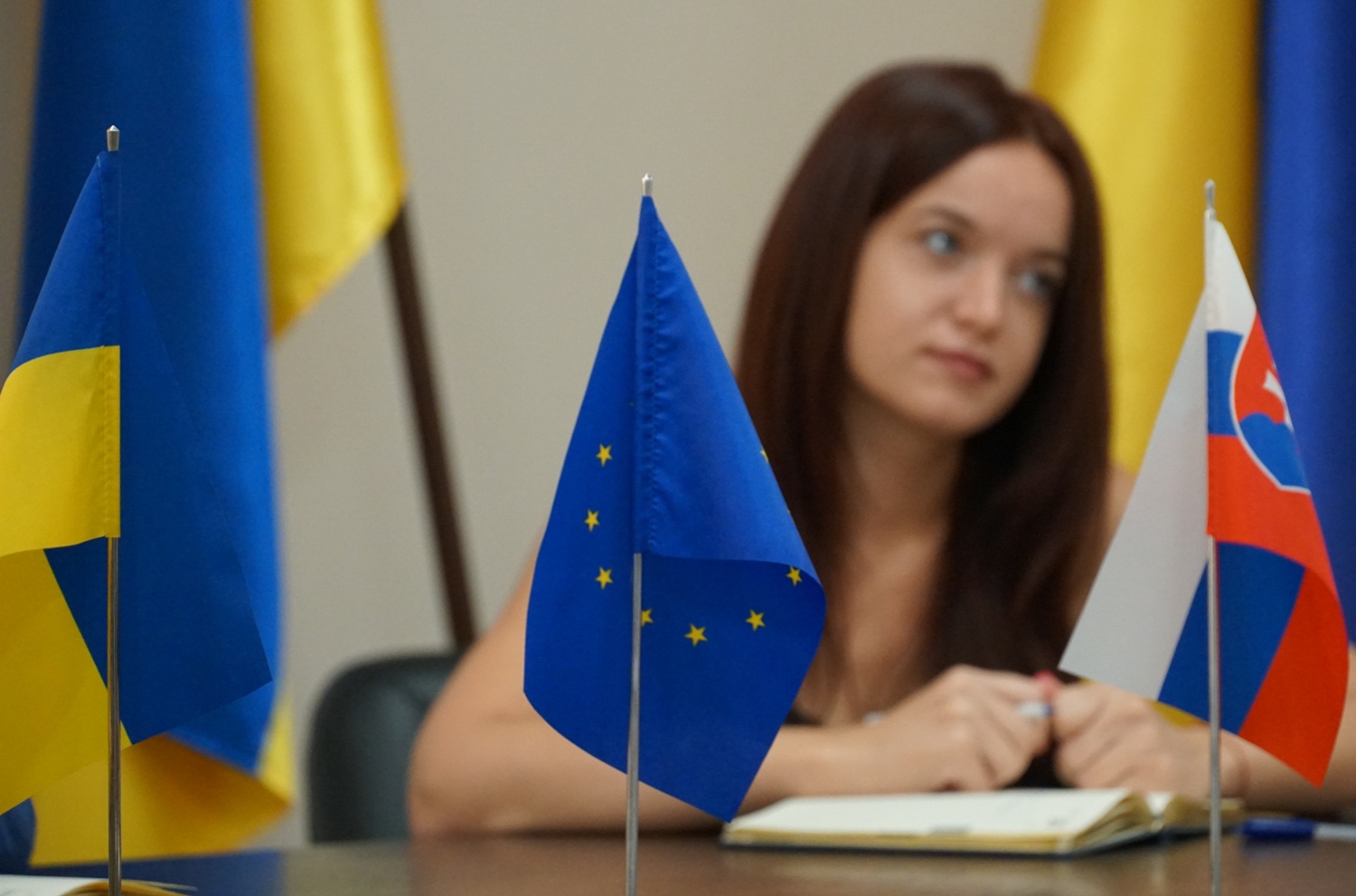 Словаччина ділитиметься з Ужгородом досвідом реалізації громадського бюджету у школах (ФОТО)