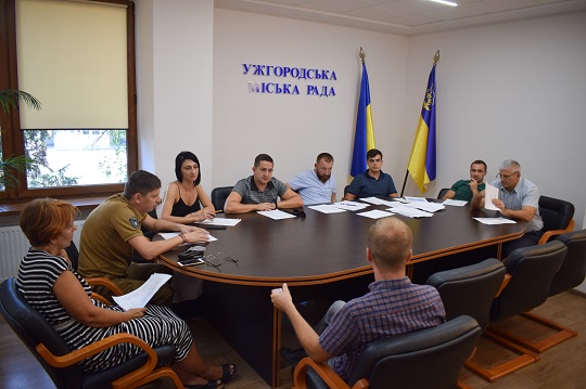 В Ужгороді "комісійно" штрафують за будматеріали на зелених зонах і несвоєчасну реєстрацію новонароджених