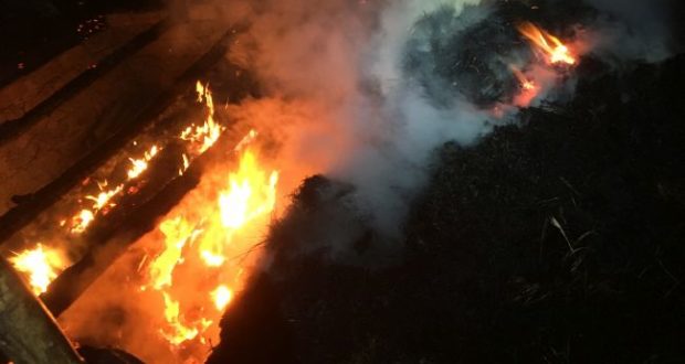 Житлові будинки, надвірна споруда й безгосподарна будівля горіли на Закарпатті